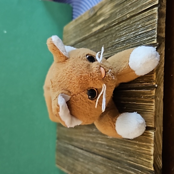 Ty Beanie Cat - Picture 1 of 3